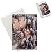 Photo Jigsaw Puzzle of Lanterns, Place des Ferblantiers (Ironmongers Square) from Robert Harding