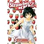 Strawberry 100%, Volume 5: A Girl from My Past (Strawberry 100%)