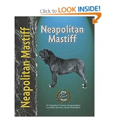Neapolitan Mastiff