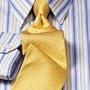 Free Form Satin Herringbone Neckwear