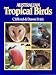 Books : Australian tropical birds: A selected portfolio