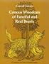 Curious Woodcuts of Fanciful and Real Beasts: A Selection of 190 Sixteenth-Century Woodcuts from Gesner's and Topsell's Natural (Dover Pictorial Archives)