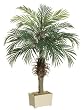 Pack of 2 Potted Artificial Silk Phoenix Palm Trees 4'
