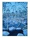 Cascades Landscape Places Giclee Poster Print by Glenn Miller, 8x10