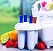 Kitchen & Housewares : Smoothie Pop Maker 4 stick mold- 1 pack (previously a 12 pack)