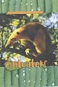 Animals of the Rainforest: Anteaters