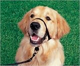 Halti Training Headcollar - Size 0