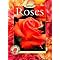 Ultimate Reference Guide to Growing Beautiful Roses