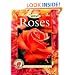 Roses: Placing Roses, Planting & Care, The Best Varieties