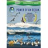 Equator 1: Power Of An Ocean (As seen on Discovery HD & Animal Planet)