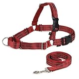 Premier REFLECTIVE EASY WALK HARNESS with 6-ft Leash Large - Red