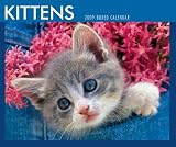 Kittens 2009 Desk Calendar