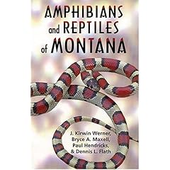 【クリックで詳細表示】Amphibians And Reptiles Of Montana： J. Kirwin Werner， Bryce A. Maxell， Paula Hendricks， Dennis L. Flath： 洋書