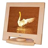 NCbNT XV1-17-BE1(Beech Wood)