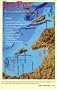 La Paz Fishing Chart & Guide