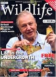 BBC Wildlife