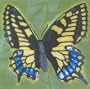 Busy, Busy Butterfly