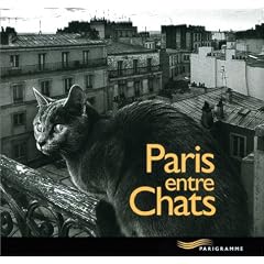 Paris entre chats