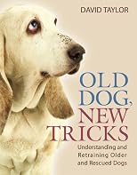 Old Dog, New Tricks: Understanding and Retraining Older and Rescued Dogs