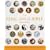 The Feng Shui Bible: The Definitive Guide to Improving Your Life, Home, Health and Finances