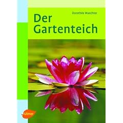 Der Gartenteich