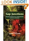 Gap Junctions: Molecular Basis of Cell Communication in Health and Disease, Volume 49 (Current Topics in Membranes) (Vol 49)
