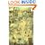 Generation Next (X-Men: The Age of Apocalypse Gold Deluxe Edition)
