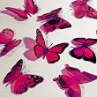 Butterfly 3D Translucent Decoration 12 HOT PINK Butterflies