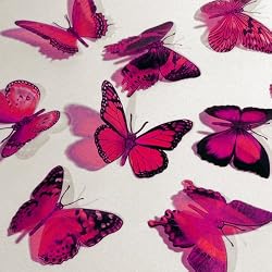 Butterfly 3D Translucent Decoration 12 HOT PINK Butterflies