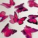 Butterfly 3D Translucent Decoration 12 HOT PINK Butterflies