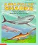 A Sea Full of Sharks (Blue Ribbon Book)