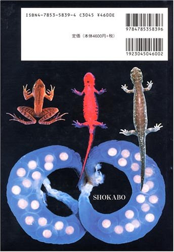 Cover image : これからの両棲類学