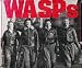 Wasps: Women Airforce Service Pilots of World War II