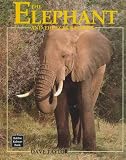 The Elephant and the Scrub Forest (Animals & Their Ecosystems)