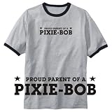 RINGER T-SHIRT HEATHER GRAY 