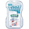 GUM���ԃu���VL���^10P SS