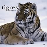 Tigres Tigers 2005 Wall Calendar