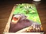 THE APE WITHIN US