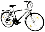 LANDER Herren ATB 26