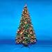 6.5' Pre-Lit Slim Sugar Pine Christmas Tree - Multi Lights