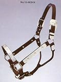 Silver Royal Engraved Silver Show Halter with Inlaid Stars