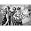 Miniaturansicht von Dandy Warhols