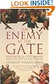 The Enemy at the Gate: Habsburgs, Ottomans and the Battle for Europe