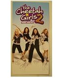 The Cheetah Girls Poster Raven Simone Thats So Raven