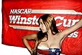 Big NEW Nascar Racing Winston CUP Premium Flag Banner 3x5 Race Car
