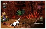 Okami (Wii)