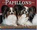 Book Just Papillons 2006 16-Month Wall Calendar