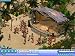 Virtual Resort: Spring Break