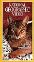 National Geographic Video: Cats: Caressing the Tiger [VHS]