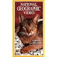Buy National Geographic Video: Cats: Caressing the Tiger